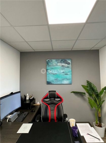 Advenis RES - Immobilier d'entreprises