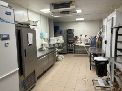 Advenis RES - Immobilier d'entreprises