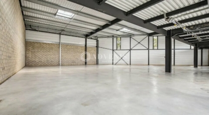 Advenis RES - Immobilier d'entreprises