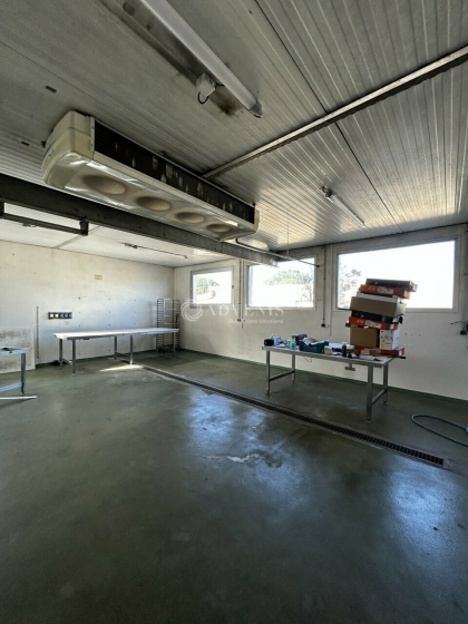 Advenis RES - Immobilier d'entreprises