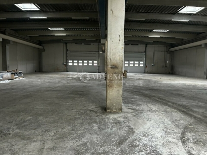 Advenis RES - Immobilier d'entreprises