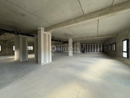 Advenis RES - Immobilier d'entreprises