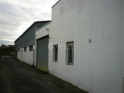 Advenis RES - Immobilier d'entreprises