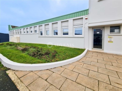 Advenis RES - Immobilier d'entreprises