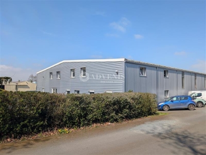 Advenis RES - Immobilier d'entreprises