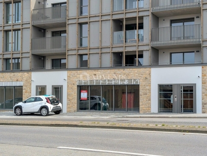 Advenis RES - Immobilier d'entreprises
