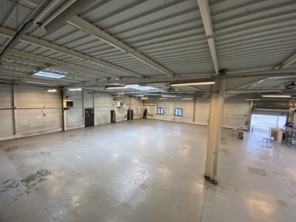 Advenis RES - Immobilier d'entreprises